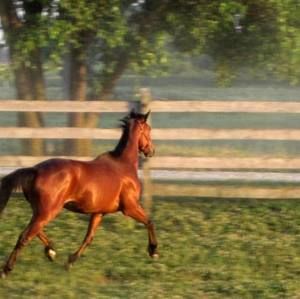 Meet your Posher, Elaine